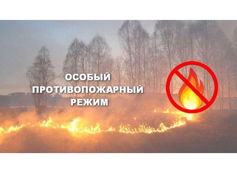 В Воронежской области с 01 апреля 2024 года вводится особый противопожарный режим..